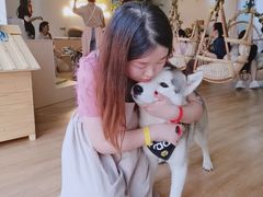 -Husky Go! 哈士奇体验馆·宠物咖啡厅狗咖