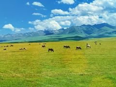 -新疆那拉提国家旅游度假区