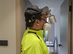 -绿色亿家除甲醛机构