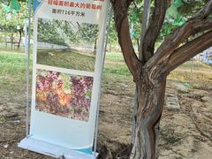 -大泽山风景名胜区