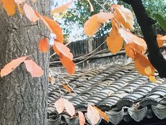 -南京市民俗博物馆(甘熙故居)