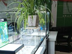 -自然之声助听器·呼吸机(公园路店)