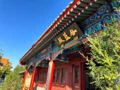 -天津大悲禅院