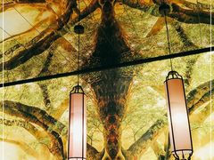 -大榕树下顺德菜(融创茂店)