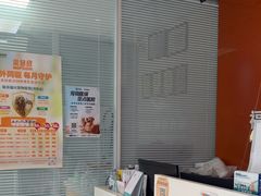 -瑞派福兴宠物医院犬猫全科·骨科·中西医结合(河东店)