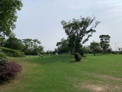 -上海崇明金茂凯悦酒店