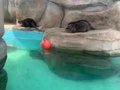 -无锡动物园·太湖欢乐园