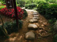 -白马涧龙池景区