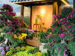 -杭州植物园