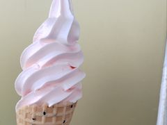 -蜜雪冰城(辽源步行街店)