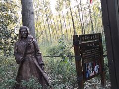 -合肥滨湖国家森林公园