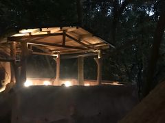 -天门沟九州驿站树上汤泉