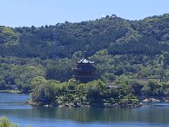 -大鹅岛灶台鱼·铁锅炖(水库路店)