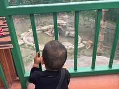 -上海野生动物园老虎餐厅