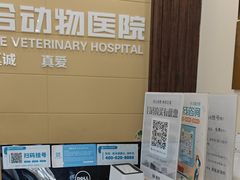 -美联众合动物医院·内科·皮肤科·外科(古城分院)