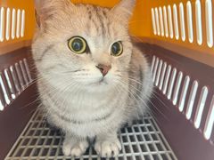 -艾贝尔宠物医院 ·中兽医·宠保定点(北门桥店)