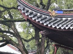 -阿育王寺