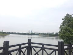 -海珠湖公园