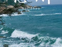 -广东惠东海龟国家级自然保护区