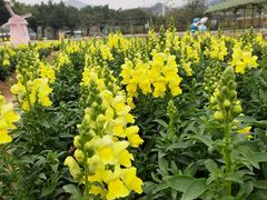 -盈香心动乐园