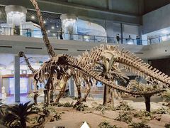 -自贡恐龙博物馆