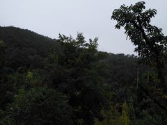 -楠柏弯休闲山庄(梨花溪店)