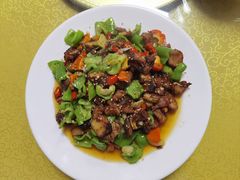 -煲来饱去冷水鱼