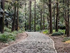 -狼山风景名胜区