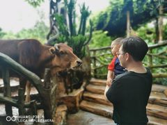 -长鹿旅游休博园