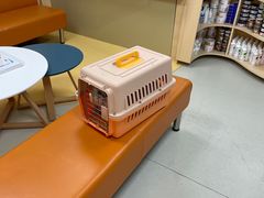 -申普宠物医院·心脏介入·心血管微创(总院)