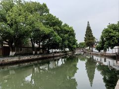 -状元楼(金溪路店)