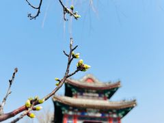 -颐和园