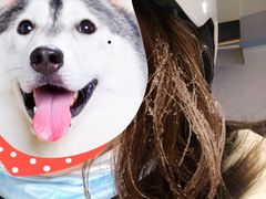 -太子岭滑雪场