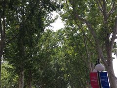 -山东大学(洪家楼校区)