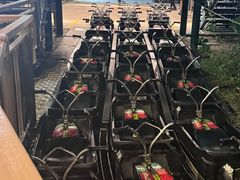 -圣淘沙天际线斜坡滑车