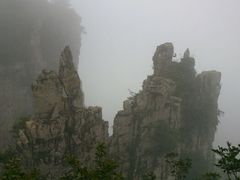 android_upload_pic-王莽岭风景区