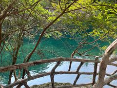 -石台牯牛降景区