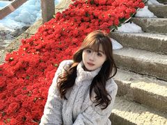 -洛阳白云山景区