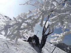 -Green valley绿谷酒吧