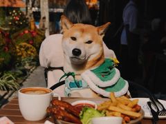 -Money Shops(愚园路店)