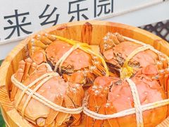 -乡乐园蟹庄·阳澄湖农家乐