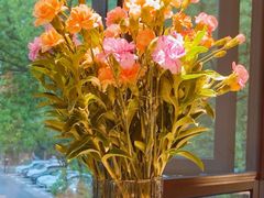 -春暖花开(西溪店)