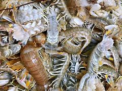 -青石桥市场北1-27号