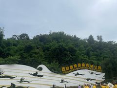 -西双版纳原始森林公园