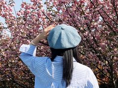 -南京市江宁方山