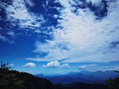 -瓦屋山景区