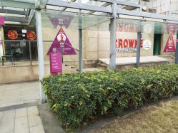 -皇冠瑜伽·普拉提·疼痛康复