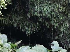 -海口火山口国家地质公园