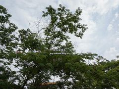 -高记清香园绝味不翻汤