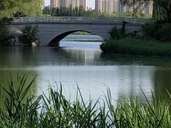 -大兴滨河森林公园